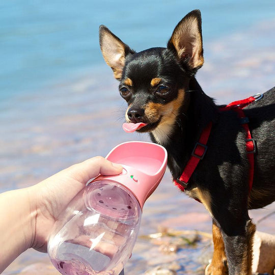 4Beiner™ Tragbare Wasserflasche