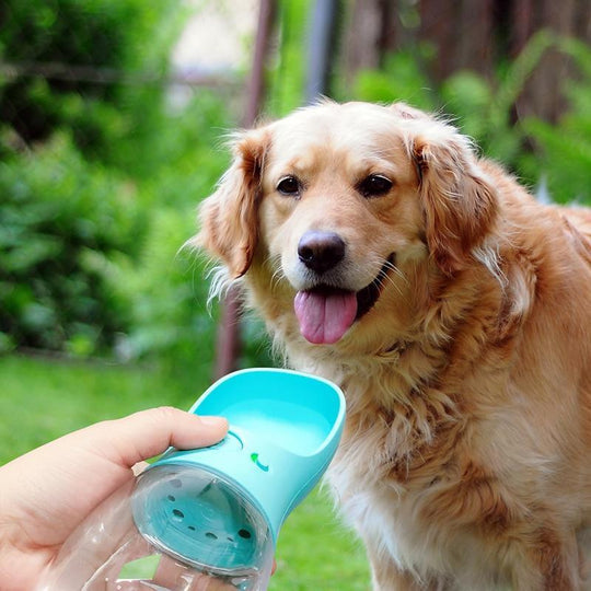 4Beiner™ Tragbare Wasserflasche